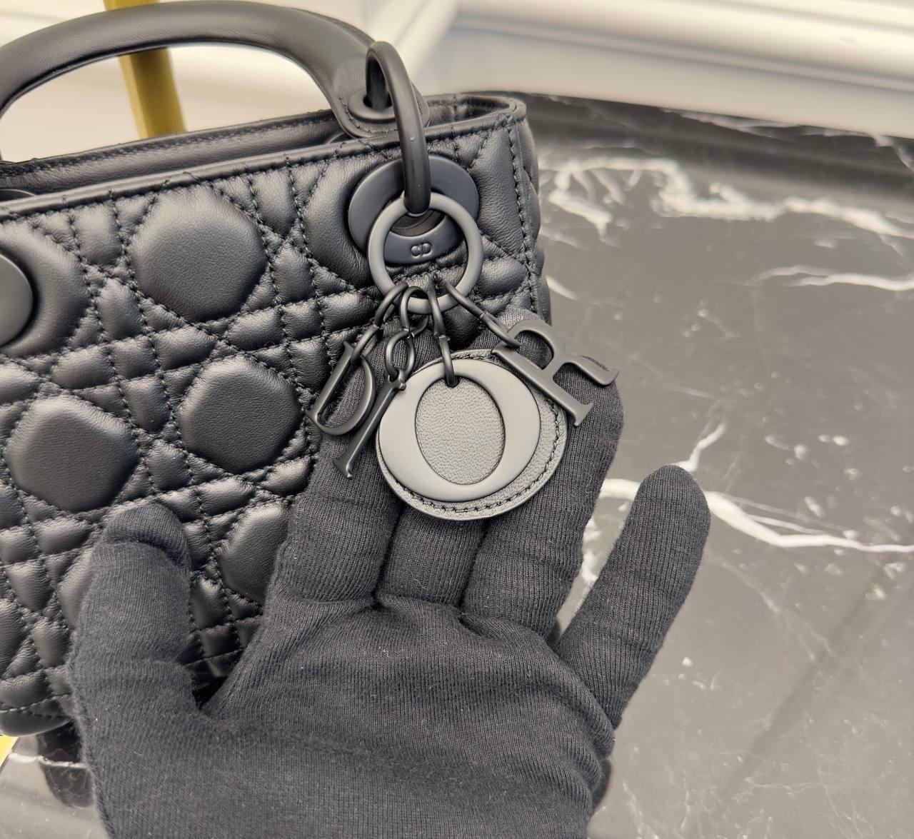 Christian Dior Lady Küçük Boy Çok Renkli Modeller - Glimmer of Luxury